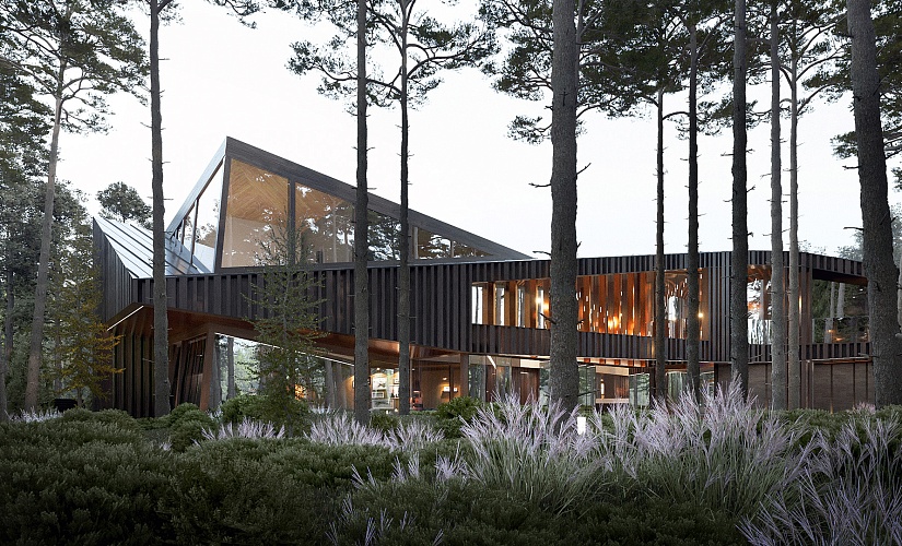 Проект Берген